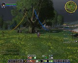 The Lord of the Rings Online