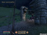 The Elder Scrolls IV: Oblivion