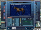 Gallop Racer ONLINE