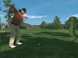 Tiger Woods PGA TOUR 08