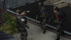 SWAT: Target Liberty