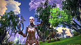 TERA :The Exiled Realm of Arborea