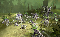 #004Υͥ/GC 200813Ϥ˺٤άŪˡ֥ϥޡ40,000פRTS꡼ǿWarhammer 40,000Dawn of War 2