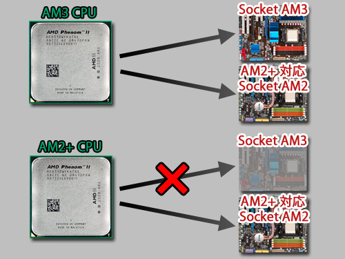 #007Υͥ/AM3׳롣AMDAM3ѥåPhenom II X4/X3ȯɽ