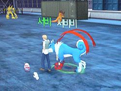 #013Υͥ/G200809ϥǥ󥻥СڹMMORPGˡȯȤääDIGIMON MASTERSפSK TELECOM֡˥ץ쥤֥Ÿ 