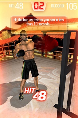 Iron Fist Boxing HD Edition