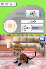 奢륷꡼2980 Petz Monkeyz 󥭡