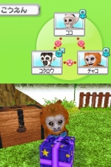 奢륷꡼2980 Petz Monkeyz 󥭡