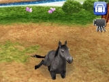 奢륷꡼2980 Petz Horsez ۡ