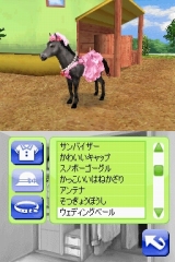 奢륷꡼2980 Petz Horsez ۡ