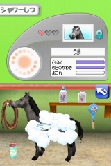 奢륷꡼2980 Petz Horsez ۡ