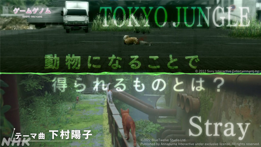  No.012Υͥ / NHK֥ॲΥ10TOKYO JUNGLE/Stray׻İݡȡޡ򤵤äۿ˥ޥ륲˶̤ΤȤ