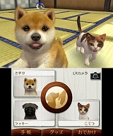 nintendogs + cats   Newե