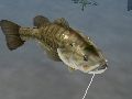 Fishing 3Dסȯ2012ǯ22˷ 