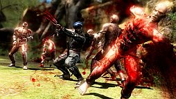 #022Υͥ/NINJA GAIDEN 3ͭDLC1ƤXbox360ǤۿPS3Ǥ5