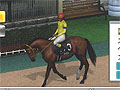 Champion Jockey: Gallop Racer & GI Jockeyץ饤Υޥå󥰵ǽ䥲⡼ɤʤɤξ󤬸