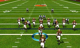 NFL Pro 2013