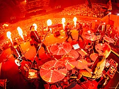 4ǯ֤ΡTHE PRIMALS饤֤ˡȥ쥸ɡɤо졪THE PRIMALS Live in Japan - Beyond the ShadowץݡȤǺ