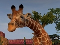 Zoo TycoonXbox 360Ǥ320ȯꡣXbox OneǤǯȯͽ