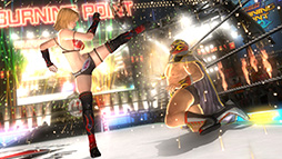 #018Υͥ/TGS 2014ϡ̵֥СפǡȤפ괶ɡDOA5LRפǡȤ餫ɤɵ᤹롣ƥ⥲ॹ βᥤ󥿥ӥ塼