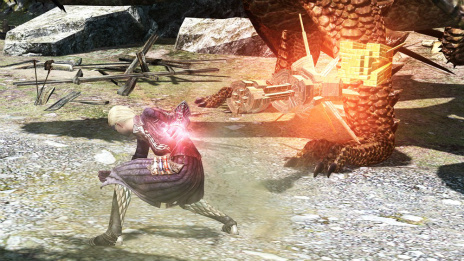  No.017Υͥ / Dragon's Dogma Onlineץ2åץǡ³󡣡ﵻηѾפˤäƳǤ뿷俯Ȥ襤󥸥ξ󤬸