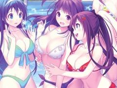 VALKYRIE DRIVE -BHIKKHUNI-פȯ1210˷ꡣǤŵŹͽŵƤ