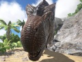 ϥSteam 73󡧶εãγڱǡ迿ðŤʿ褬ȡХХ륲ARK: Survival Evolved