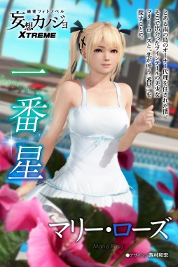  No.003Υͥ / DEAD OR ALIVE Xtreme 3פۥΥפȥܡޥ꡼б