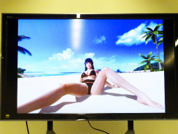  No.010Υͥ / ܤ˸νλҤ˥ɥáפ鷺ɡβӤƤޤDEAD OR ALIVE Xtreme 3פVR⡼θݡ