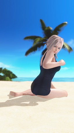  No.011Υͥ / DEAD OR ALIVE Xtreme Venus Vacationפο饯֥ʡפ̥ϤեȥݡȤǺ