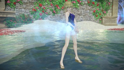  No.003Υͥ / Fate/EXTELLA LINKסDLC2ơ֥꥾ȥåȡפۿ