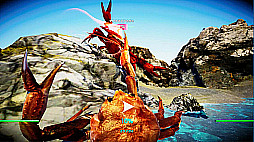 ˥Υ -Fight Crab-