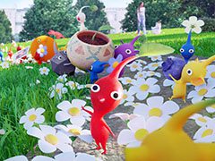 Pikmin Bloomסʥԥߥ֥롼ˤۿϡԥߥȰ˲֤餫⤯Ȥڤɥץ