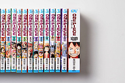 ONE PIECE VIVRE RUSH