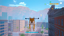 Doge Simulator