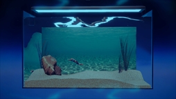 ޥꥦ -Muscle Aquarium Simulator-