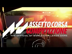 Assetto Corsa EVOפϤ˸ơե㥤򿶤֤ȥ쥤顼Steamǥ꡼ȥΥ»