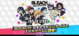 BLEACH Soul Puzzle