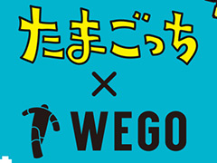 WEGOߡ֤ޤäץܤΥեå󻨲ߤ47о졣WEGO ONLINE STOREǤͽդ3311800